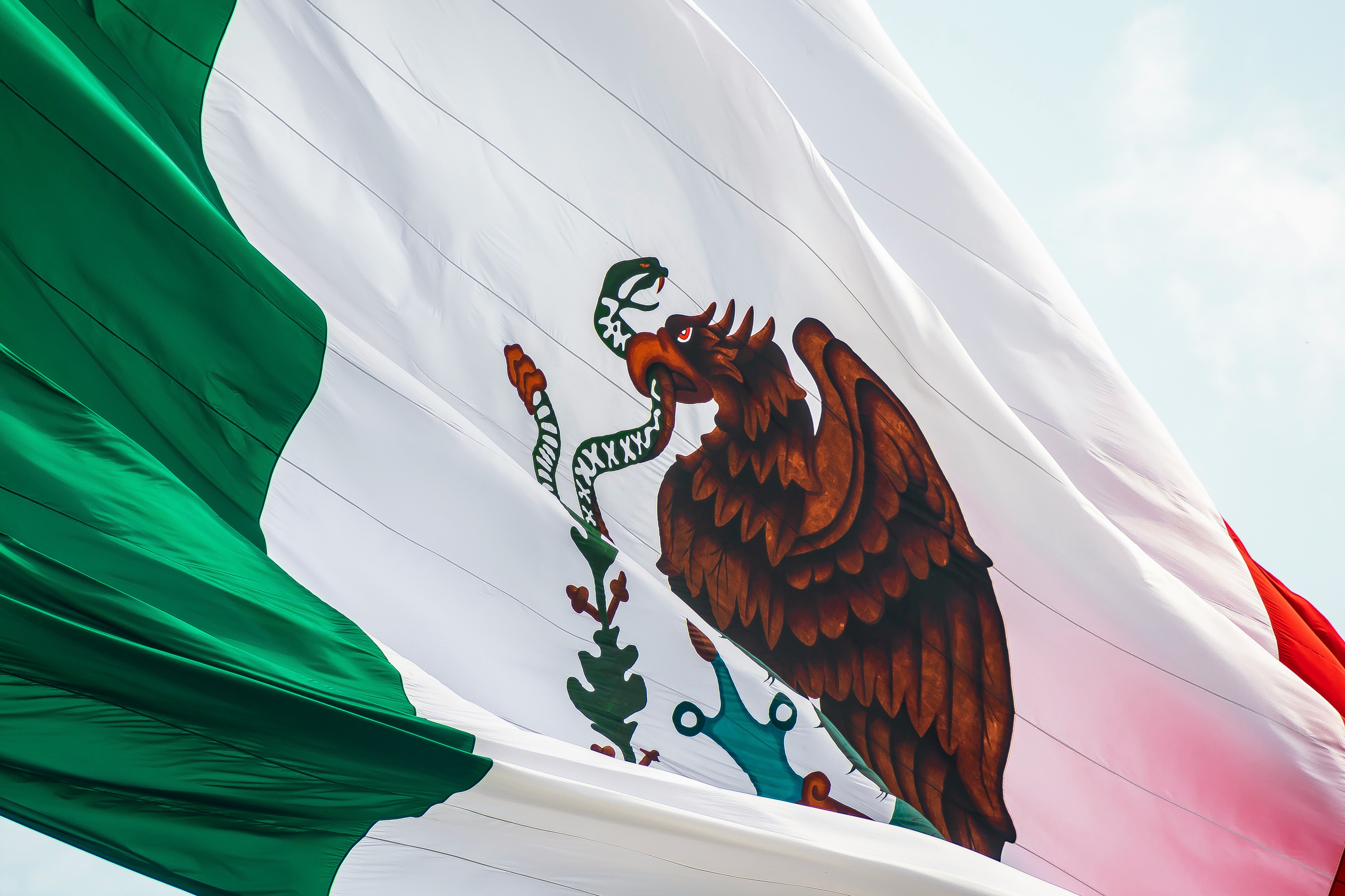 La Industria Mexicana del Vino: Tradición y Auge en el Panorama Internacional